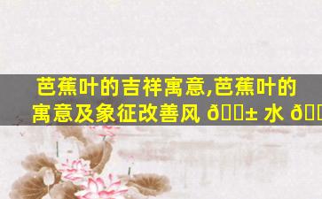 芭蕉叶的吉祥寓意,芭蕉叶的寓意及象征改善风 🐱 水 🌸